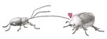 Rating: s
ID: 5545075
Date: 2025-05-02 23:12:59 -0400
Status: active
Score: 27
absurd_res ambiguous_gender antennae_(anatomy) arthropod beetle bowelfly chafer duo feral heart_symbol hi_res insect kissing simple_background weevil white_background post #5545075
