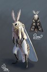 Rating: s
ID: 4230798
Date: 2023-08-13 14:59:47 -0400
Status: active
Score: 46
ambiguous_gender anthro anthrofied arthropod artist_name beady_eyes biped black_sclera blue_eyes character_name digital_media_(artwork) digital_painting_(artwork) dom_(zerolativity) feelers fur grey_background insect lepidopteran male_(lore) model_sheet moth multi_limb nude painting_(artwork) signature simple_background solo text white_body white_fur wing_pattern zerolativity post #4230798