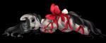 Rating: s
ID: 572303
Date: 2014-12-15 22:05:51 -0500
Status: active
Score: 22
2014 absurd_res alpha_channel bdsm black_hair black_tail bondage bound cutie_mark digital_drawing_(artwork) digital_media_(artwork) earth_pony equid equine female feral friendship_is_magic grey_body hair hasbro hi_res horse looking_at_viewer lying mammal markings my_little_pony octavia_(mlp) on_side pony pridark purple_eyes purple_markings ribbon_bondage ribbons simple_background smile smiling_at_viewer solo tail transparent_background post #572303