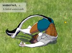 Rating: s
ID: 5264552
Date: 2024-12-25 07:22:27 -0500
Status: active
Score: 2
2024 anthro black_body black_fur bottomwear brown_body brown_fur brown_hair cara_(cybercorn_entropic) clothing cybercorn_entropic definition dipodomyine english_text eyes_closed female fur grass hair heteromyid kangaroo_rat mammal outside pain plant rodent shirt shorts solo star_symbol t-shirt text topwear whiskers white_body white_fur post #5264552