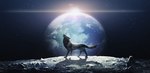 Rating: s
ID: 4579927
Date: 2024-02-05 12:14:17 -0500
Status: active
Score: 31
2019 amamidori amazing_background artist_name black_background canid canine canis cloud continent detailed detailed_background digital_media_(artwork) digital_painting_(artwork) earth eclipse european_mythology feral fur howl japanese_text lens_flare light lighting lunar_eclipse male mammal moon mythology norse_mythology on_moon painting_(artwork) planet quadruped rock scenery_porn scp-3609 scp_foundation sea shadow simple_background solo space star sun tail text water watermark wolf wolf_tail post #4579927
