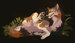 Rating: s
ID: 5524572
Date: 2025-04-23 05:56:20 -0400
Status: active
Score: 12
2025 ambiguous_gender black_background canid canine canis complex_shading digital_drawing_(artwork) digital_media_(artwork) feral flower full-length_portrait fur grass happy hi_res ingridskogstad lying lying_on_ground mammal monotone_background nonbinary_(lore) on_ground paint_tool_sai_(artwork) pawpads paws plant portrait scratching scratching_self simple_background smile solo tail white_body white_fur wolf post #5524572