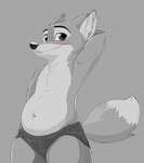 Rating: s
ID: 5607693
Date: 2025-05-29 19:20:26 -0400
Status: pending
Score: 1
anthro blush blush_lines canid canine clothed clothing disney dodgesthehusky embarrassed featureless_chest fox glistening glistening_nose hand_behind_head inner_ear_fluff male mammal monochrome navel nick_wilde pointy_ears shorts_only simple_background slightly_chubby slightly_chubby_male solo tail topless tuft zootopia post #5607693