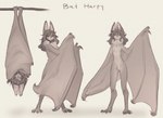 Rating: s
ID: 5506588
Date: 2025-04-15 20:28:51 -0400
Status: active
Score: 231
anthro bat bat_ears bat_nose bat_wings big_wings black_eyes breasts brown_body brown_fur brown_hair claws dark_hair dewlap_(anatomy) featureless_breasts featureless_crotch female fur hair hanging_by_feet hanging_upside_down hi_res long_arms long_ears long_hair mammal membrane_(anatomy) membranous_wings model_sheet neck_tuft nude sleeping slim small_breasts solo standing tateoftot tuft upside_down winged_arms wings wings_instead_of_hands post #5506588