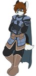 Rating: s
ID: 4687967
Date: 2024-03-29 23:21:30 -0400
Status: active
Score: 7
2018 anthro armor brown_hair canid canine canis cape clothed clothing fur grey_body grey_fur hair hunter_keero invisible_wall leaning male mammal simple_background skidd solo tail teal_eyes wolf post #4687967