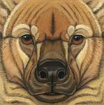 Rating: s
ID: 1658844
Date: 2018-09-21 15:44:51 -0400
Status: active
Score: 5
2010 ambiguous_form ambiguous_gender black_nose brown_body brown_eyes brown_fur brown_spots eye_markings facial_markings front_view fur giant_short-faced_hyena gouache_(artwork) head_markings headshot_portrait hyena icon looking_at_viewer mammal markings multicolored_body multicolored_fur pachycrocuta painting_(artwork) portrait signature snout solo spots spotted_body spotted_fur synnabar tan_body tan_fur tan_markings traditional_media_(artwork) traditional_painting_(artwork) two_tone_body two_tone_fur whiskers post #1658844
