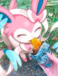 Rating: s
ID: 5664098
Date: 2025-06-24 02:35:15 -0400
Status: pending
Score: 5
2024 absurd_res ambiguous_gender blush bow_(anatomy) duo eating eeveelution eyes_closed feral food fur generation_6_pokemon grass hi_res human mammal momu_shi_36 nintendo paws pink_body pink_fur plant pokemon pokemon_(species) ribbons_(anatomy) sylveon tail white_body post #5664098