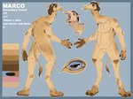 Rating: s
ID: 3499846
Date: 2022-08-11 06:05:05 -0400
Status: active
Score: 8
anthro blue_background blue_border blue_eyes border brown_hair camel camelid color_swatch dromedary english_text eyelashes eyes_closed featureless_crotch front_view fur glistening glistening_eyes hair horizontal_pupils imperatorcaesar long_neck male mammal marco_(imperatorcaesar) model_sheet mouth_closed nude open_mouth pink_tongue pupils rear_view signature simple_background solo tail tan_body tan_ears tan_fur tan_tail text tongue post #3499846