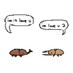 Rating: s
ID: 5656341
Date: 2025-06-20 18:45:00 -0400
Status: pending
Score: 11
1:1 2023 ambiguous_gender arthropod beetle dialogue duo english_text feral hi_res horn insect pincers rhinoceros_beetle scarabaeid side_view sillycritterz simple_background speech_bubble stated_love text post #5656341