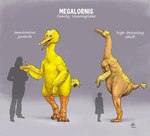 Rating: s
ID: 4004729
Date: 2023-04-20 20:54:08 -0400
Status: active
Score: 54
3_fingers 3_toes ambiguous_gender avian big_bird_(sesame_street) binomial_nomenclature bird comparing dinosaur duo english_text feathered_dinosaur feathered_scalie feathers feet feral fictional_taxomy fingers latin_text model_sheet nightmare_fuel orange_body orange_legs orange_scales pbs prehistoric_species reptile scales scalie sesame_street silhouette species_name species_sheet taxonomic_rank text theropod toes unenlagiid white_text yellow_body yellow_feathers post #4004729