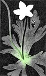 Rating: s
ID: 5554692
Date: 2025-05-07 04:59:23 -0400
Status: active
Score: 5
ambiguous_gender anthro bag bear biped black_body clothing english_text flower green_glow grey_face hat headgear headwear hi_res mammal micro plant restricted_palette solo standing stem text tsuchika walking young post #5554692