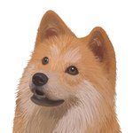 post #5661529
