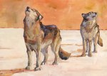 Rating: s
ID: 5645520
Date: 2025-06-16 02:25:52 -0400
Status: active
Score: 22
absurd_res akatan_art ambiguous_gender black_body black_fur black_nose brown_body brown_fur canid canine canis duo ears_back eyes_closed feral fur hi_res howl mammal open_mouth pivoted_ears quadruped simple_background traditional_media_(artwork) white_body white_fur wolf post #5645520