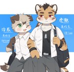 Rating: s
ID: 5580342
Date: 2025-05-18 00:31:20 -0400
Status: active
Score: 3
anthro bottomwear brown_body brown_fur canid canine canis clothing domestic_dog duo felid fur fur_markings green_eyes hair hi_res male mammal markings multicolored_body multicolored_fur one_eye_closed orange_body orange_fur pantherine pants red_eyes school_uniform shirt standing striped_body striped_fur stripes tiger tody_0312 topwear two_tone_body two_tone_fur uniform wink post #5580342