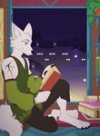 Rating: s
ID: 4452068
Date: 2023-12-04 01:24:51 -0500
Status: active
Score: 16
4_toes 5_fingers absurd_res anthro armwear belt book bottomwear brown_clothing building canid canine canis city city_background claws clothing detailed_background digitigrade feet female fingers flat_chested flat_colors fur green_clothing green_eyes hi_res holding_book holding_object john_mausson leaf lily_(atrumpet) looking_at_object mammal mountain paws plant reading reading_book scroll shelf sitting sky smile solo star tail toes topwear tree white_body white_fur window wolf post #4452068
