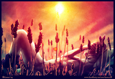 2009 anthro biped black_border black_nose boots border canine clothing cowboy_hat day detailed_background digital_media_(artwork) dog flower footwear fur hand_behind_head hat kamui_(artist) lavender_(flower) lying male mammal mostly_nude on_back outside plant signature sky snout solo sun url white_fur
Rating: Safe
Score: 6
User: Cash_Banooca
Date: September 10, 2017 2009 anthro biped black_border black_nose boots border canine clothing cowboy_hat day detailed_background digital_media_(artwork) dog flower footwear fur hand_behind_head hat kamui_(artist) lavender_(flower) lying male mammal mostly_nude on_back outside plant signature sky snout solo sun url white_fur
Rating: Safe
Score: 6
User: Cash_Banooca
Date: September 10, 2017