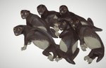 Rating: s
ID: 5667664
Date: 2025-06-25 19:48:41 -0400
Status: active
Score: 6
2021 5_toes ambiguous_gender beak black_body black_skin claws dicynodont eupelycosaur feet feral group hi_res leg_markings looking_at_viewer looking_back looking_back_at_viewer lying lystrosaurus markings mossa on_front orange_eyes prehistoric_species quadruped scar short_tail simple_background sitting socks_(marking) spots synapsid tail therapsid toes tusks white_background white_body white_skin white_spots post #5667664