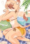 Rating: s
ID: 5552285
Date: 2025-05-06 02:46:17 -0400
Status: pending
Score: 12
2025 absurd_res anthro beach_blanket bikini breasts butt clothing cooler eyebrows eyelashes feet felid female fur gold_bikini golden_week hair hi_res inner_ear_fluff kemono lion mammal pantherine question_mark red_eyes side-tie_bikini side_boob simona_kemo solo string_bikini swimwear tail tail_tuft tan_body tan_fur tan_hair tuft two-piece_swimsuit post #5552285