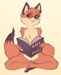 Rating: s
ID: 3923136
Date: 2023-03-11 08:48:11 -0500
Status: active
Score: 91
anthro barefoot book breasts butterfly_sitting canid canine convenient_censorship countershade_torso countershading digital_drawing_(artwork) digital_media_(artwork) draw_this_in_your_style elronya english_text eyewear feet female female_anthro fox fur glasses looking_at_viewer mammal melanie_(edtropolis) nude nude_anthro nude_female open_mouth orange_body orange_fur sitting solo text post #3923136