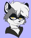 Rating: s
ID: 4249512
Date: 2023-08-23 02:50:54 -0400
Status: active
Score: 7
2021 anthro bangs black_body black_chain black_clothing black_ears black_fur black_hoodie black_nose black_topwear chain_necklace clothed clothing digital_drawing_(artwork) digital_media_(artwork) eyebrows eyelashes female fluffy_ears fur grey_body grey_fur hair headshot_portrait hoodie inner_ear_fluff jewelry looking_at_viewer mammal narrowed_eyes necklace portrait procyonid purple_background raccoon relaxed_expression shaded sickbelle simple_background smile solo susan_(wolfnes) teeth topwear tuft white_body white_eyebrows white_fur white_hair white_inner_ear_fluff yellow_eyes post #4249512