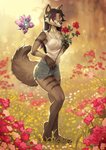 Rating: s
ID: 2680949
Date: 2021-04-03 14:23:10 -0400
Status: active
Score: 133
4_toes anthro barefoot big_breasts bottomwear breasts brown_body bungie canid canine claws clothed clothing destiny_(series) destiny_2 deymos digital_media_(artwork) feet female fingers flower flower_field fox fur ghost_(destiny) grass grey_fox hair half-closed_eyes hi_res holding_flower holding_object hotpants kyla_gray_(zardoseus) long_hair mammal narrowed_eyes outside plant plantigrade purple_eyes rose_(flower) shirt shorts smile solo tank_top toes topwear urocyon post #2680949