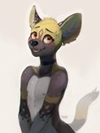 Rating: s
ID: 3192627
Date: 2022-02-23 23:14:58 -0500
Status: active
Score: 112
absurd_res african_wild_dog anthro blush canid canine choker digital_media_(artwork) ear_piercing ear_ring fur heart_eyes heart_symbol hi_res inner_ear_fluff jewelry looking_at_viewer lull_(skully) male mammal markings necklace nipples nude orange_eyes piercing ring_piercing skully smile solo spots spotted_body spotted_fur tuft whisker_markings post #3192627