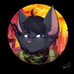 Rating: s
ID: 4208780
Date: 2023-08-02 11:32:52 -0400
Status: active
Score: 7
1:1 ak-74 ak-74m alpha_channel anthro axelpaws622 black_body black_fur black_hair blue_eyes bulletproof_vest camo camo_clothing camo_print clothing destroyed_building destruction domestic_cat explosion eyewear felid feline felis fur glasses hair hi_res male mammal pattern_clothing pink_nose portrait ranged_weapon salem_morozov scarf solo weapon weapon_on_shoulder post #4208780