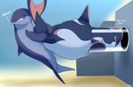 Rating: s
ID: 5051739
Date: 2024-09-15 09:42:51 -0400
Status: active
Score: 7
cetacean dolphin dolphinproject duo english_text female feral fin grey_body hera_(reececav27) hi_res male male/female mammal marine oceanic_dolphin opunui orange_body orca overweight overweight_female overweight_male pull_out stuck text toothed_whale underwater water post #5051739