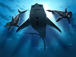 Rating: s
ID: 5431524
Date: 2025-03-13 19:26:47 -0400
Status: active
Score: 6
2021 4:3 black_stripes blue_eyes brown_eyes cetacean chainsxwsmile common_dolphin dolphin fan_character female feral fish great_white_shark grey_body group heart_symbol looking_at_viewer mackerel_shark mammal marine oceanic_dolphin shark shark_teeth stripes toothed_whale trio underwater water white_shark post #5431524