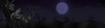 Rating: s
ID: 5169648
Date: 2024-11-09 00:31:51 -0500
Status: active
Score: 3
absurd_res anthro big_breasts boots breasts clothing domestic_cat felid feline felis female footwear hi_res humanoid jacket mammal moon plant red_eyes resting rose_(skittersqueak) shoes shooting_star sky solo the_nightmare_before_christmas topwear tree vrisoka post #5169648