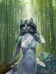 Rating: s
ID: 5038988
Date: 2024-09-09 06:56:57 -0400
Status: active
Score: 25
3:4 anthro bamboo bamboo_tree clothing digital_media_(artwork) dress felid female fluffy fluffy_tail hair hi_res hybrid long_hair mammal plant prehistoric_species saber-toothed_tiger solo tail techiesxc tree post #5038988