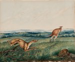 Rating: s
ID: 5588921
Date: 2025-05-21 17:41:29 -0400
Status: active
Score: 1
1872 19th_century absurd_res adam_gustavus_ball ambiguous_gender ancient_art black_nose brown_body brown_fur canid canine canis chasing day domestic_dog duo feet feral field fingers forest formal_art fur grass hi_res hopping kangaroo macropod mammal marsupial multicolored_body multicolored_fur open_mouth outside painting_(artwork) paws pink_tongue plant rock running shaded snout soft_shading tail toes tongue traditional_painting_(artwork) tree post #5588921