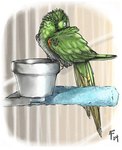 Rating: s
ID: 5239555
Date: 2024-12-12 20:00:16 -0500
Status: active
Score: 12
2004 avian bird bowl cage colored container digital_drawing_(artwork) digital_media_(artwork) english_description feathers feral folded_wings food_bowl green_body green_feathers green_tail green_wings light lighting low_res lyosha male male_feral parakeet parrot perching pet_bowl shaded signature sleeping solo tail tail_feathers talbot_(lyosha) true_parrot white-eye_(bird) wings post #5239555