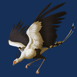 2017 ambiguous_gender avian beak bird black_feather clothed clothing digital_media_(artwork) duo feathered_wings feathers human mammal secretary_bird sinistereternity smile wings
Rating: Safe
Score: 4
User: Millcore
Date: April 18, 2018 2017 ambiguous_gender avian beak bird black_feather clothed clothing digital_media_(artwork) duo feathered_wings feathers human mammal secretary_bird sinistereternity smile wings
Rating: Safe
Score: 4
User: Millcore
Date: April 18, 2018