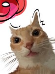 post #5422532
