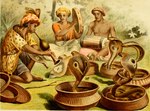 Rating: s
ID: 5123263
Date: 2024-10-18 09:04:05 -0400
Status: active
Score: 3
19th_century 5_fingers 5_toes alfred_brehm ambiguous_gender ancient_art biped clothed clothing cobra feet feral fingers forked_tongue group hi_res human male mammal musical_instrument not_furry public_domain pungi reptile scalie snake snake_charming snake_hood toes tongue tongue_out traditional_media_(artwork) wind_instrument woodwind_instrument post #5123263