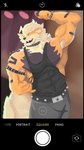 Rating: s
ID: 5567922
Date: 2025-05-12 20:24:10 -0400
Status: active
Score: 8
4k 9:16 absurd_res anthro anthrofied arcanine armpit_hair belt black_body black_fur body_hair bottomwear bracelet camera_view canid canine clothing concert digital_drawing_(artwork) digital_media_(artwork) english_text fur generation_1_pokemon hi_res jaiba jewelry male mammal mane muscular neck_tuft necklace nintendo orange_body orange_fur pants pokemon pokemon_(species) pokemorph shirt signature singer solo spikes tail tank_top teeth teeth_showing text topwear tuft post #5567922