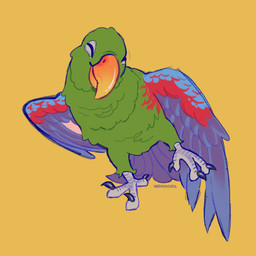 Rating: s
ID: 5670236
Date: 2025-06-27 01:20:49 -0400
Status: active
Score: 16
3_toes abbadoo02 ambiguous_gender artist_name avian beak bird claws eyes_closed feathered_wings feathers feet feral hi_res multicolored_body orange_background shaded simple_background simple_shading smile solo text toes wings yellow_background post #5670236