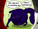 Rating: s
ID: 4923208
Date: 2024-07-16 17:04:43 -0400
Status: active
Score: 4
2018 4:3 ambiguous_gender anthro black_nose blue_body blue_fur blue_tail blueberry_inflation canid claws duo english_text feral fur glistening glistening_eyes grey_body grey_fur hi_res inflation inner_ear_fluff mammal mouth_closed purple_eyes purple_inner_ear_fluff red_body red_fur simple_background solo_focus standing tail text tuft unbreakable-warrior white_body white_claws white_fur post #4923208