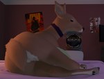Rating: s
ID: 4571871
Date: 2024-02-01 21:54:08 -0500
Status: active
Score: 19
3d_(artwork) blender_(artwork) blender_eevee collar collar_only deer detailed_background digital_media_(artwork) doriyote female feral hi_res juniper_(laserkitten) looking_at_viewer looking_back lying mammal new_world_deer nude on_side solo white-tailed_deer post #4571871