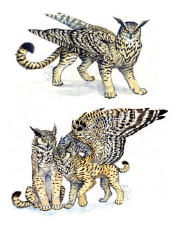 2011 amber_eyes anisis avian beak bird black_beak duo feathered_wings feathers feline feral hybrid mammal owl simple_background white_background wings
Rating: Safe
Score: 5
User: Millcore
Date: June 20, 2018 2011 amber_eyes anisis avian beak bird black_beak duo feathered_wings feathers feline feral hybrid mammal owl simple_background white_background wings
Rating: Safe
Score: 5
User: Millcore
Date: June 20, 2018