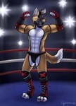 Rating: s
ID: 5655154
Date: 2025-06-20 07:44:09 -0400
Status: active
Score: 7
2025 abs anthro armor armwear athletic athletic_anthro biceps bikini bikini_bottom black_hair black_outline bottomwear bracers canid canine claws clothing digitigrade ear_piercing ear_ring elbow_gloves fighting_ring flashbulbs flexing furgonomics gaikotsu gloves hair handwear hi_res laces looking_at_viewer male mammal maned_wolf outline pawpads pecs piercing ring_piercing signature smile solo spots spotted_pawpads swimwear toe_claws two-piece_swimsuit victory_pose yellow_eyes post #5655154