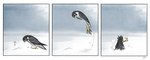 Rating: s
ID: 5587101
Date: 2025-05-20 21:41:43 -0400
Status: active
Score: 18
ambiguous_gender avian beak biped bird black_body black_feathers border comic contextual_arrow cricetid detailed_background diving falcon falconid feathers feet feral fur grey_body grey_fur impact_effect initials jumping mammal peregrine_falcon pictographics rodent side_view signature skia snow solo speech_bubble standing stare striped_feathers stuck_in_ground talons toes vole white_body white_border white_feathers yellow_beak yellow_feet post #5587101