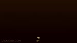 Rating: s
ID: 5258214
Date: 2024-12-22 09:34:45 -0500
Status: active
Score: 108
16:9 2024 2d_animation animal_humanoid animated better_version_at_source black_background blue_bottomwear blue_clothing blue_eyes blue_footwear blue_hat blue_headwear blue_pants blue_shoes blue_suit bottomwear bowed_string_instrument brown_body brown_fur cat_humanoid clothing domestic_cat electro_swing english_description english_text exposed_teeth felid felid_humanoid feline feline_humanoid felis flashing fluffy fluffy_tail footsteps footwear fur grey_body grey_fur grin grinning_at_viewer hat headgear headwear hi_res holding_object huge_filesize humanoid iron_circus_comics kubrick_stare lackadaisy long_playtime looking_at_viewer looking_down looking_up looking_up_at_viewer loop male mammal mammal_humanoid markings music musical_instrument musical_note musical_symbol necktie pants playing_music pupils red_necktie rocky_rickaby sharp_teeth shoes simple_background slit_pupils smile solo sound sound_warning spinning string_instrument striped_markings striped_tail stripes suit suit_and_tie suit_jacket swaying symbol synced_to_music tail tail_markings tail_motion tailwag teeth teeth_showing text toothy_grin url violin violin_bow walking walking_towards_viewer watermark webm whiskers white_undershirt wide_grin widescreen zero_pictured post #5258214