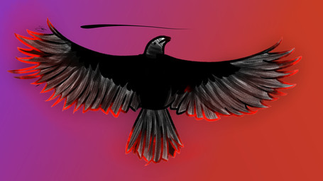 Rating: s
ID: 4303840
Date: 2023-09-20 19:13:38 -0400
Status: active
Score: 6
16:9 akiio ambiguous_gender avian bird corvid corvus_(genus) feathered_wings feathers feral gradient_background hi_res jixper oscine passerine raven simple_background solo spread_wings widescreen wings post #4303840