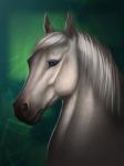 Rating: s
ID: 1245868
Date: 2017-06-17 14:26:48 -0400
Status: active
Score: 20
2017 3:4 ambiguous_gender anuta_belko blue_eyes detailed digital_media_(artwork) equid equine feral fur green_background headshot_portrait hi_res horse looking_at_viewer mammal mane monotone_body monotone_face monotone_fur monotone_mane portrait quadruped riche short_fur side_view simple_background snout solo white_body white_ears white_face white_fur white_mane post #1245868