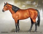 Rating: s
ID: 1138614
Date: 2017-02-15 03:05:31 -0500
Status: active
Score: 17
ambiguous_gender aomori black_body black_fur black_hair brown_body brown_fur equid equine feral fur hair hi_res hooves horse leg_markings mammal markings nude plant side_view socks_(marking) solo standing tail tree watermark post #1138614