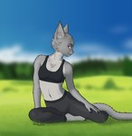Rating: s
ID: 5591355
Date: 2025-05-22 18:38:46 -0400
Status: pending
Score: 5
absurd_res anthro bra breasts clothing countershading digital_media_(artwork) eyebrows felid feline female female_anthro field fur grass grey_body grey_fur hi_res johndoe8771 leggings legwear mammal multicolored_body multicolored_fur navel outside plant relaxing shaded sitting small_breasts smile solo sports_bra sylvania_(johndoe8771) tail tight_clothing underwear yellow_eyes post #5591355