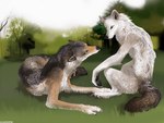 Rating: s
ID: 4007130
Date: 2023-04-22 02:16:06 -0400
Status: active
Score: 14
4:3 ambiguous_gender anthro brown_body brown_fur canid canine canis dark_tail detailed detailed_fur duo eye_contact forest forest_background fur grass looking_at_another lying mammal nature nature_background plant sitting smile sullivan tongue tongue_out tree white_body white_fur wolf yellow_eyes post #4007130
