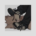 Rating: s
ID: 4881124
Date: 2024-06-27 03:19:19 -0400
Status: active
Score: 43
1:1 2024 annoyed anthro biped blue_eyes bored canid canine canis clothing duo footwear fur itooku itooku_(character) jaded looking_at_viewer male male/male mammal shoe_on_head shoe_sniffing shoes slim_anthro slim_male sneakers sniffing sniffing_clothes white_body white_fur wolf post #4881124